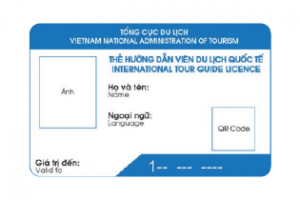 Quy trình, thủ tục cấp thẻ hướng dẫn viên du lịch quốc tế