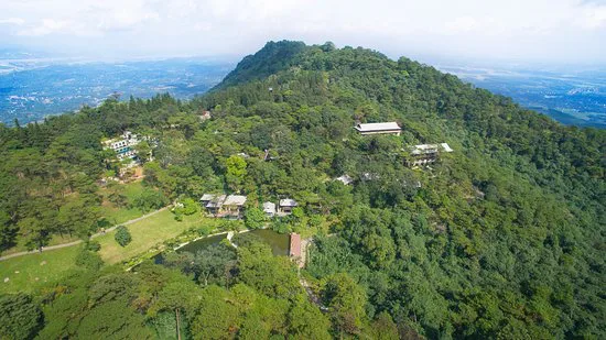 Khu nghỉ dưỡng trên núi được bao quanh bởi thảm thực vật xanh ngút ngàn