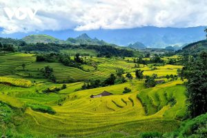 Du lịch bền vững được nhiều du khách Việt Nam lựa chọn